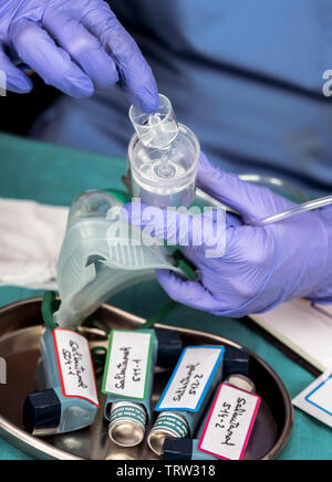 Krankenschwester bereitet Sauerstoffmaske im Krankenhaus, konzeptionelle Bild Stockfoto