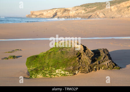 Felsen am Strand, Monte Clerigo; Alentejano; Portugal Stockfoto