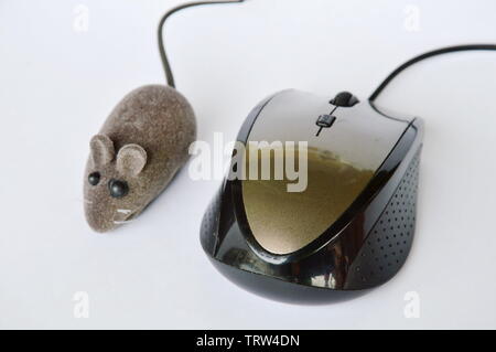 Ratte Spielzeug und Computer Maus auf weißem Hintergrund Stockfoto