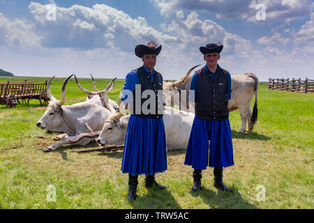 Jährliche Vieh hüten Hirten Übereinkommen in Hortobagy Stockfoto