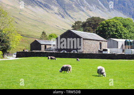 Gatesgarth Farm am südöstlichen Ende Buttermere im englischen Lake District. Stockfoto