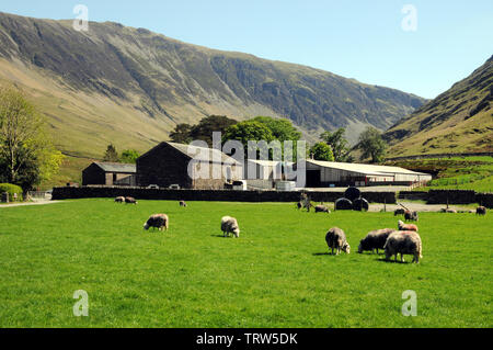 Gatesgarth Farm am südöstlichen Ende Buttermere im englischen Lake District. Stockfoto