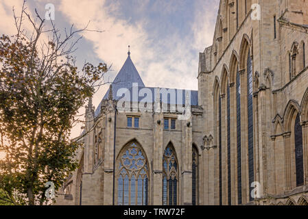 Ein Abschnitt von der Nordseite des York Minster in der Morgendämmerung. Die Sonne scheint durch einen Baum auf der einen Seite und die gotische Architektur ist vor blauem Himmel eingestellt Stockfoto