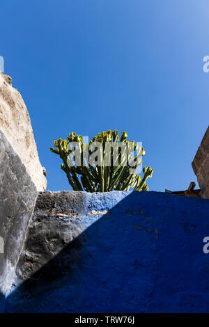 Licht, Schatten und Pflanzen in das Monasterio de Santa Catalina, Kloster, religiöse Gebäude in Arequipa, Peru, Südamerika Stockfoto