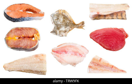 Verschiedene RAW gefrorenen Fisch, Steaks und Filets (Zander, Stör, Barsch, Thunfisch, Kabeljau, Lachs, Scholle) auf weißem Hintergrund Stockfoto