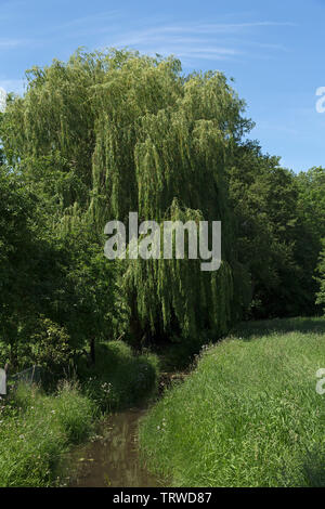Landschaft in der Nähe von Luebeln, Wendland, Niedersachsen, Deutschland Stockfoto