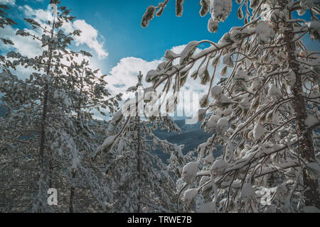 Die hohen Berge unter dem Schnee im Winter. Eine Reihe von Fotos des Kaukasus, Skigebiet, karachay-cherkessia Dombay Stockfoto