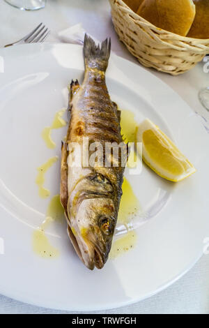 Ganzen gegrillten Wolfsbarsch mit Olivenöl, Ristorante La Paranza, Lido Adriano, Ravenna, Emilia-Romagna, Italien Stockfoto