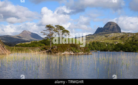 Vom Loch in der Nähe von Druim Suardalain Glencanisp Lodge, Assynt, Sutherland, Highlands, Schottland Suilven Stockfoto