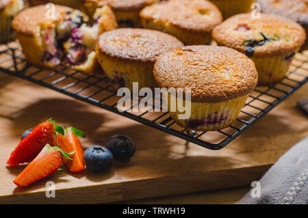Blaubeer-Muffins Stockfoto
