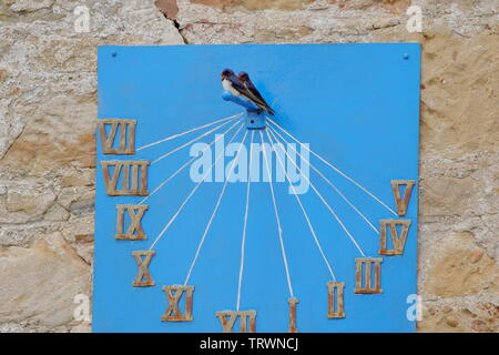 Wann macht Sommer starten? Schwalbe Hirundo rustica, gefangen auf einer Sun Dial in Dornoch, Sutherland. Schottland Stockfoto