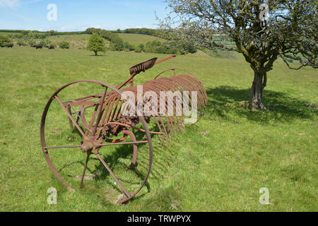 Heu rechen auf ein Feld in Exmoor zurückgezogen, umgerechnet von Pferden gezogenen am Traktor angetrieben. Exford, Somerset UK Stockfoto
