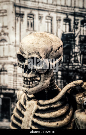 Menschlicher Schädel und Skelett dummy Stockfoto