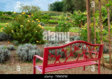 Bank in Gärten im Ali'i Kula Lavender Farm. Maui, Hawaii Stockfoto