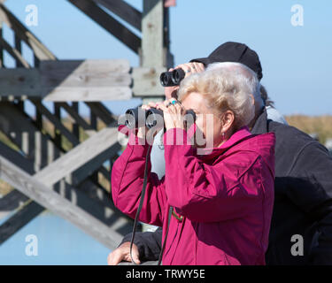 Eine weibliche Senioren hält Fernglas an die Augen während Tierbeobachtungen. Zum Beispiel: Leonabelle Turnbull Birding Center in Port Aransas, Texas USA. Stockfoto