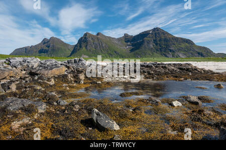 Küstenlandschaft bei Flakstad Strand, Norwegen. Stockfoto