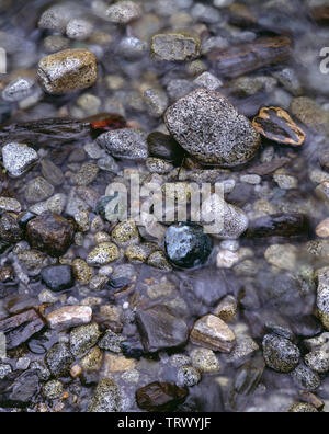 USA, Washington, North Cascades National Park, abwechslungsreiche Felsen bestehen aus flußbett der kleinen Nebenfluss des North Fork Cascade River. Stockfoto