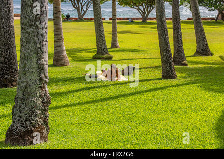 Eine attraktive, junge Frau, die unter einem Baum an einem Park, Hilo, Hawaii, ein Buch zu lesen. Stockfoto