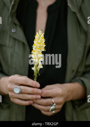 Schöne weibliche Hände mit Ringen Blume Holding. Die Frau Hände mit stilvollen boho Zubehör. Kein Fokus Stockfoto