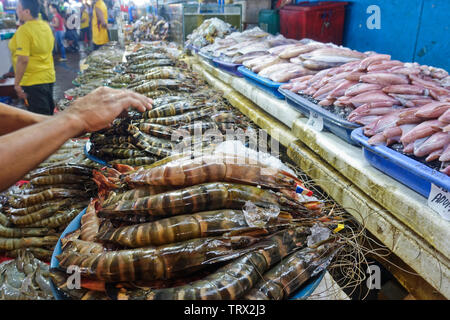 Garnelen, Garnelen, Riesengarnelen, Tintenfisch, Tintenfisch und sind häufig in den Philippinen. Sie können in einer Vielzahl von Weisen ... Chinesisch, Japanisch usw. gekocht worden Stockfoto