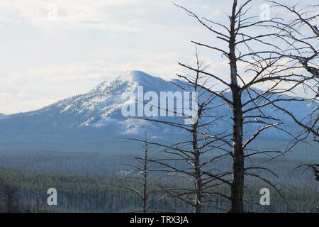 Yellowstone-Nationalpark Stockfoto