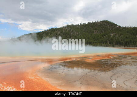 Yellowstone-Nationalpark Stockfoto