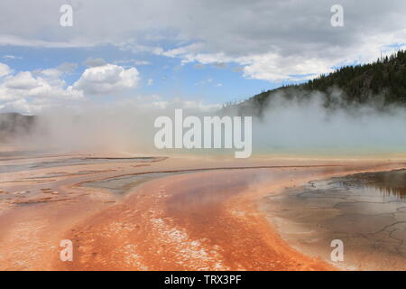 Yellowstone-Nationalpark Stockfoto