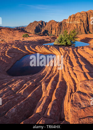 Mit Wasser gefüllte Schlagloch, versteinerte Dünen, Snow Canyon State Park in der Nähe von Saint George, Utah. Stockfoto