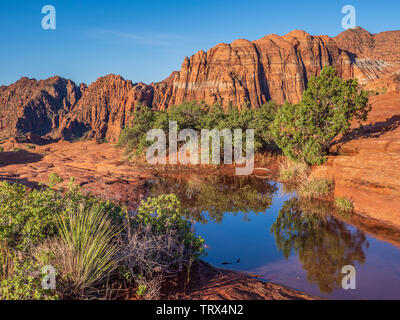 Mit Wasser gefüllte Schlagloch, versteinerte Dünen, Snow Canyon State Park in der Nähe von Saint George, Utah. Stockfoto