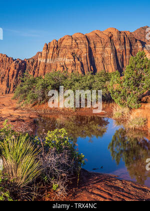 Mit Wasser gefüllte Schlagloch, versteinerte Dünen, Snow Canyon State Park in der Nähe von Saint George, Utah. Stockfoto