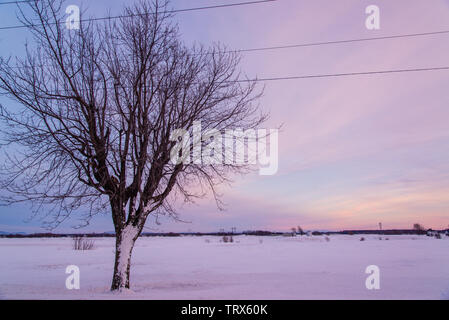 St-Cesaire farmen Landschaft nach Schnee Stockfoto