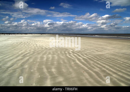 Cumberland Island National Seashore ist berühmt für ihre ausgedehnten Strände, das umfangreiche Loipennetz, und auch für die ortsansässige Bevölkerung der wilden Pferde Stockfoto