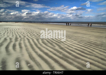 Cumberland Island National Seashore ist berühmt für ihre ausgedehnten Strände, das umfangreiche Loipennetz, und auch für die ortsansässige Bevölkerung der wilden Pferde Stockfoto