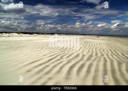 Cumberland Island National Seashore ist berühmt für ihre ausgedehnten Strände, das umfangreiche Loipennetz, und auch für die ortsansässige Bevölkerung der wilden Pferde Stockfoto