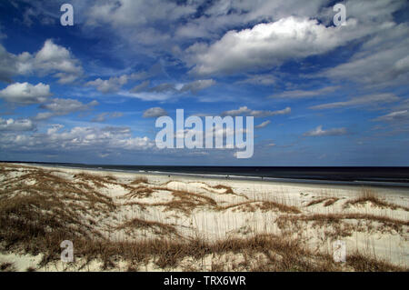 Cumberland Island National Seashore ist berühmt für ihre ausgedehnten Strände, das umfangreiche Loipennetz, und auch für die ortsansässige Bevölkerung der wilden Pferde Stockfoto