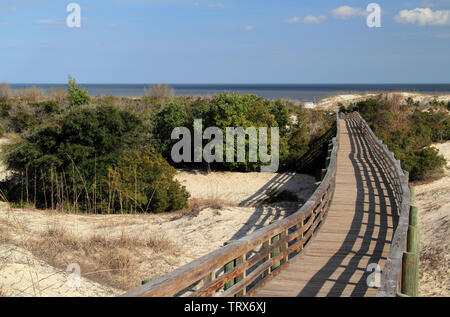 Cumberland Island National Seashore ist berühmt für ihre ausgedehnten Strände, das umfangreiche Loipennetz, und auch für die ortsansässige Bevölkerung der wilden Pferde Stockfoto