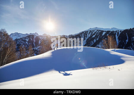 Man Skifahren auf frischen Pulverschnee im Wald, in den Bergen in der Nähe von Almaty, Kasachstan Stockfoto