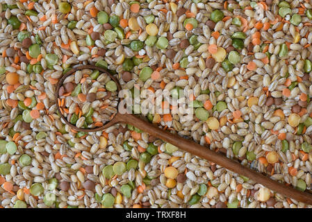 Suppe mischen, eine trockene Ware Mischung aus Linsen, Gerste und Erbsen. Stockfoto