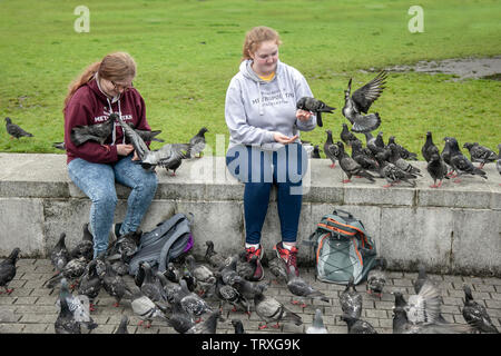 Studenten der Universität Manchester, sitzenden Touristen Fütterung eine Herde wilder Tauben in Piccadilly Gardens, UK Stockfoto