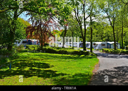 Ein Blick auf die modernen Wohnwagen am Schläge Ecke, einem ländlichen Campingplatz der Caravan & Reisemobil Club, in der Nähe von Honiton, Devon. Ruhigen Waldgebiet Lage. Stockfoto