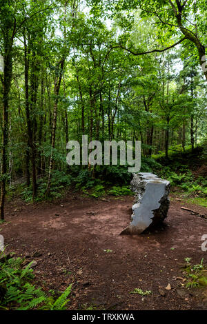 Echo von Annie Cattrell - Teil des Waldes von Dean Skulpturenweg Stockfoto