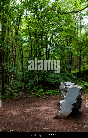 Echo von Annie Cattrell - Teil des Waldes von Dean Skulpturenweg Stockfoto