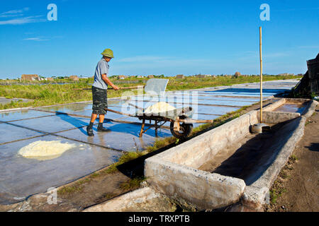 BACH LANGE SALZ FELDER, NAMDINH, Vietnam - Juni 9, 2019: Salz Arbeiter auf Salz Felder. An diesem Standort werden die größten Salz Produktionsstandort sein. Stockfoto