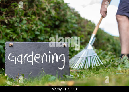 Die Arbeit im Garten. Man harkt Blätter eines frisch geschnittenen Hainbuche Hecke. Das Wort "Gardening" ist auf eine Schiefertafel geschrieben. Stockfoto