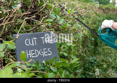 Die Arbeit im Garten. Der Mensch ist das Schneiden einer Hainbuche Hecke. Der Satz: "Die Hecken schneiden' auf eine Schiefertafel geschrieben wird. Stockfoto