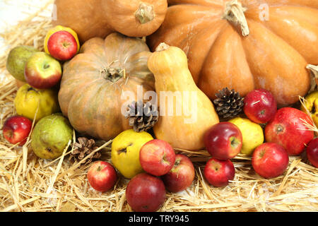 Herbst Zusammensetzung der Früchte und der Kürbisse auf Stroh close-up Stockfoto