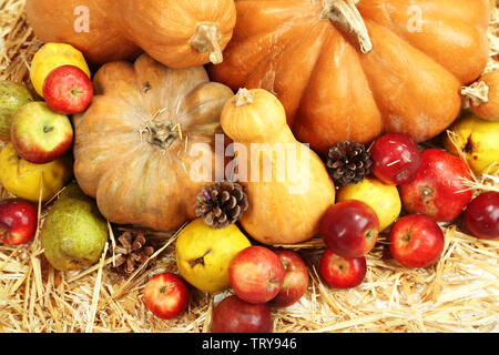 Herbst Zusammensetzung der Früchte und der Kürbisse auf Stroh close-up Stockfoto