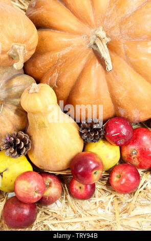 Herbst Zusammensetzung der Früchte und der Kürbisse auf Stroh close-up Stockfoto