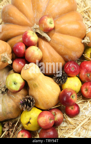 Herbst Zusammensetzung der Früchte und der Kürbisse auf Stroh close-up Stockfoto