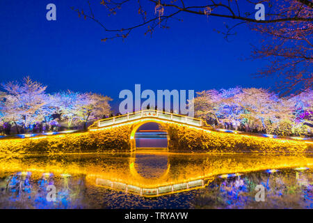 Touzhu nacht Kirsche, gepaart mit Changchun Brücke, die Brücke in der Nacht cherry Stockfoto